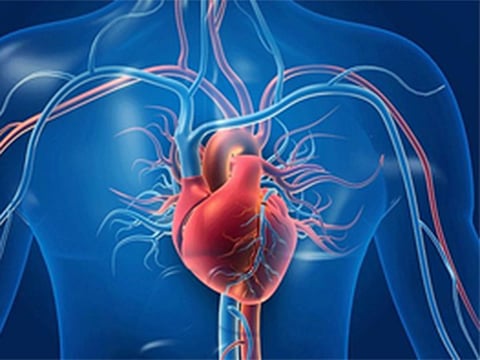 The patient in his 40s, who declined to be identified, was experiencing severe heart failure. He underwent a six-hour procedure for the implant of an artificial heart on November 22, 2024, at St Vincent’s Hospital Sydney.