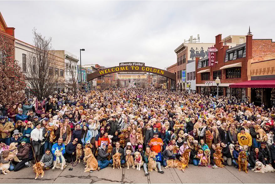 The 'Goldens in Golden' event saw 3,000 dogs on February 8, 2025.