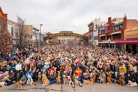 The 'Goldens in Golden' event saw 3,000 dogs on February 8, 2025.