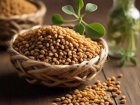 Research shows that  fenugreek significantly boosts satiety and led to lower spontaneous calorie consumption, especially in overweight individuals.