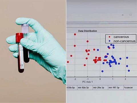Tech for a healthier future: Medical students from the University of Santo Tomas (UST) in Manila have created a cutting-edge AI app that lets clinicians assess a person’s risk for colorectal cancer with just a blood test.
