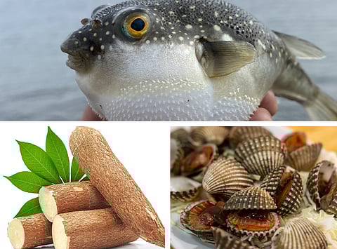 Eat and you may die: Fugu, Ackee, Sannakji and other deadly delicacies 
