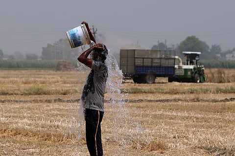 An early onset of summer has stoked concerns about wheat crops in India.