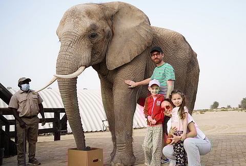 Adele Shestovskaya with her family in Dubai.