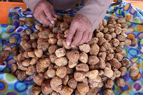 A desert truffle vendor serves a customer at the truffle market in Kuwait City on March 8, 2025.