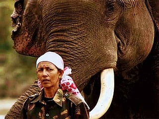 Assam’s ‘Elephant Girl’ Parbati Barua shatters gender stereotypes in wildlife conservation