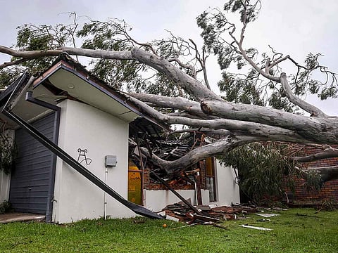 A damaged home is pictured after a tree uprooted by strong winds crashed into the structure in the suburb of Elanora as Cyclone Alfred passed near the Gold Coast on March 8, 2025. 