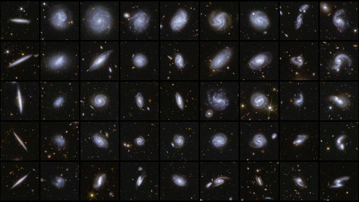 Euclids new image of examples of galaxies in different shapes, during Euclid first observations of the Deep Field areas.  