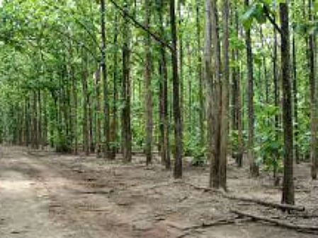 Police sources said that Papa Rao, a notorious and highly-wanted Maoist leader with a bounty worth millions on his head, is also present there with other dreaded Maoists.  His capture or elimination would mark another significant blow to the network.