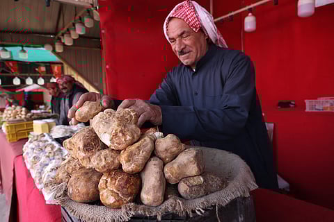A rare and prized delicacy: The desert truffle, with its distinctive white or beige hue, is a treasured ingredient in Kuwaiti cuisine.