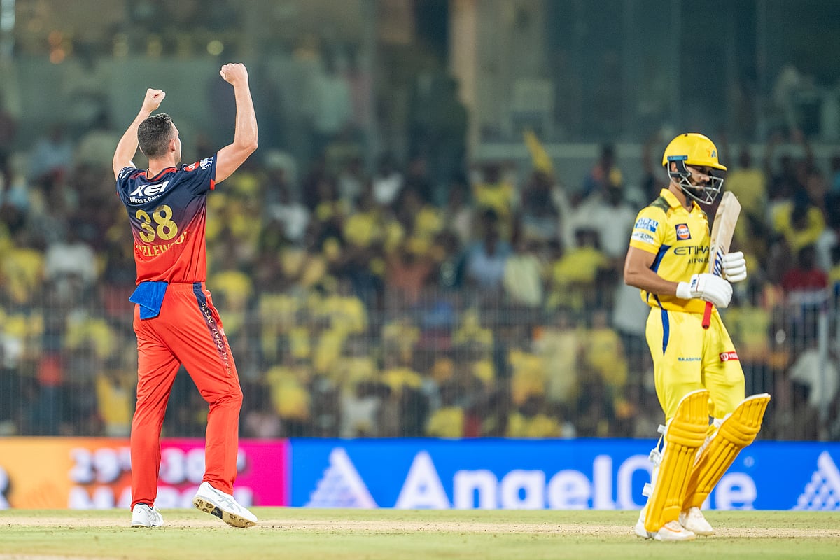 RCB pacer Josh Hazlewood celebrates the wicket of Chennai skipper Ruturaj Gaikwad.