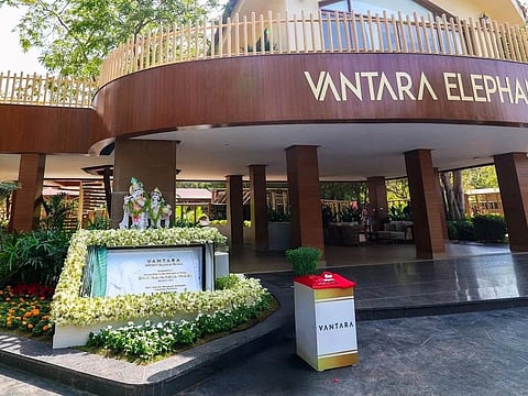 Vantara a nature-first approach to wildlife rescue and rehabilitation