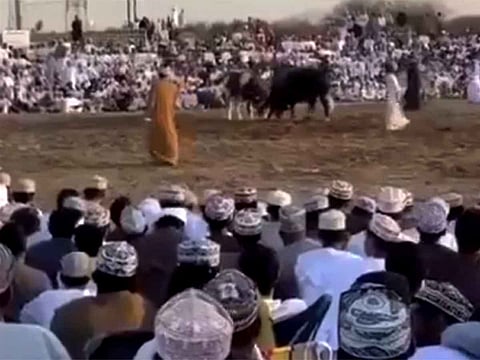 Despite a 2020 ban on the use of animals for entertainment and sports like bullfighting, these events are still organised on a weekly basis.