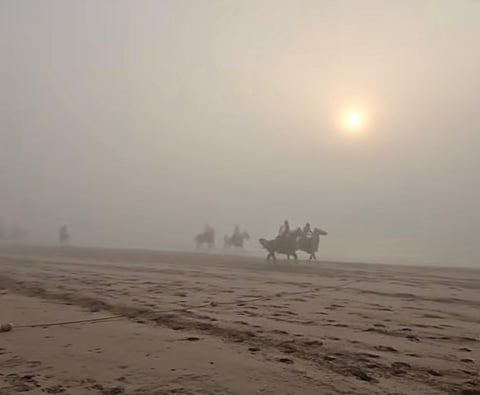 Foggy morning in Khorfakkan. 