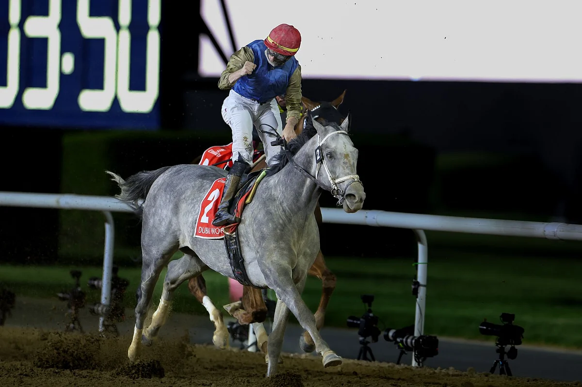 Jockey Florent Geroux celebrates after guiding American grey horse Hit Show to the $12 million Dubai World Cup, the showpiece of the 9-card Dubai World Cup meeting, at Meydan on Saturday night.