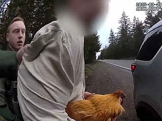 Video: Man arrested after stealing ex-girlfriend’s pet chicken in bizarre break-in