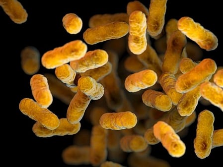 The disease has made a troubling comeback in recent years as vaccine coverage declined after the Covid-19 pandemic.