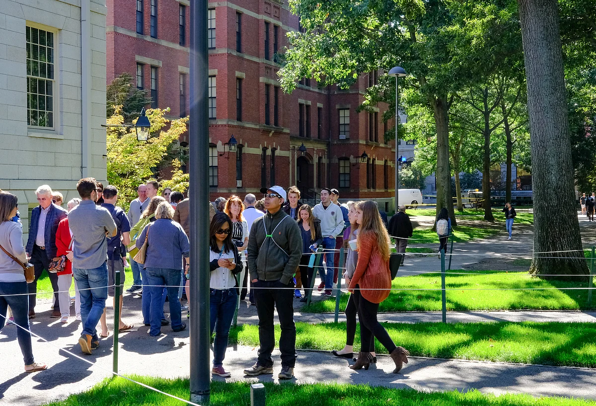 Students at Harward university