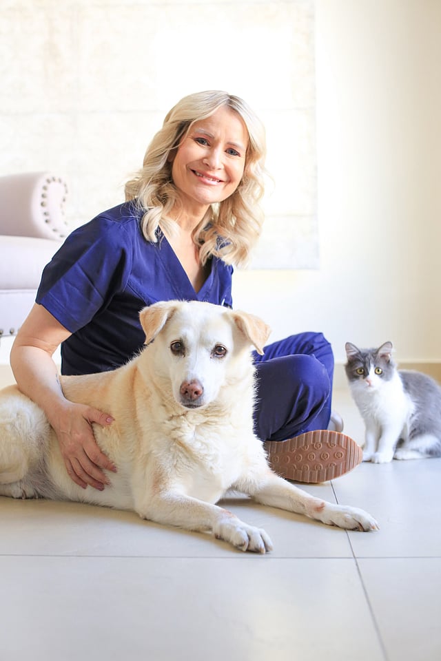 Flying with your pet for the first time? Avoid these 5 common mistakes that can cause both of you trauma 