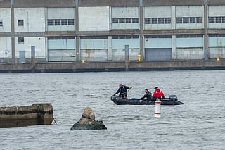 New York helicopter crash victims were celebrating birthday