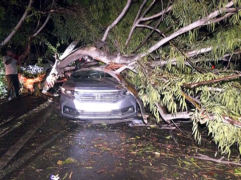 A tree uprooted and fell on a car that got damaged after a dust storm, at Sarai Rohilla in New Delhi on Friday. 