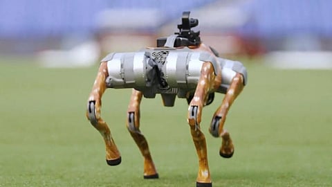New addition: IPL introduces quadruped robot dog to its broadcast team
