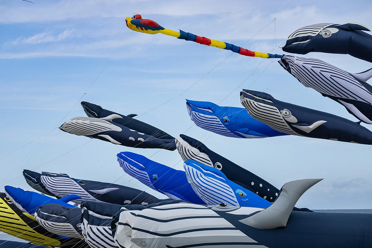 Kites depicting whales are navigated by participants during the 38th International Kite Festival (RICV) at the beach of Berck-sur-Mer, northern France, on April 16, 2025.