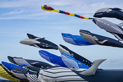Kites depicting whales are navigated by participants during the 38th International Kite Festival (RICV) at the beach of Berck-sur-Mer, northern France, on April 16, 2025.
