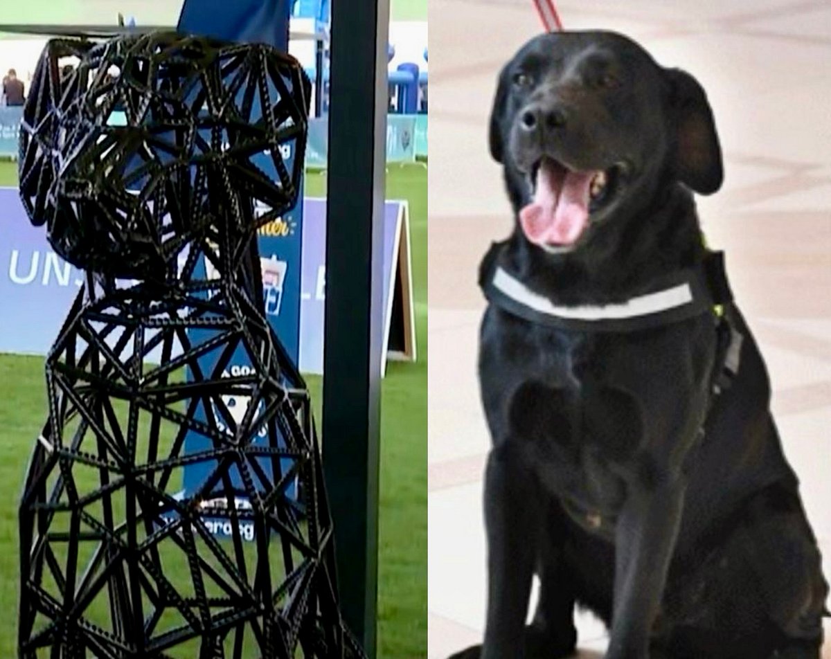 Paul, right, and the K9 Show mascot modelled after him.