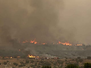 Raging wildfires near Jerusalem trigger army deployment