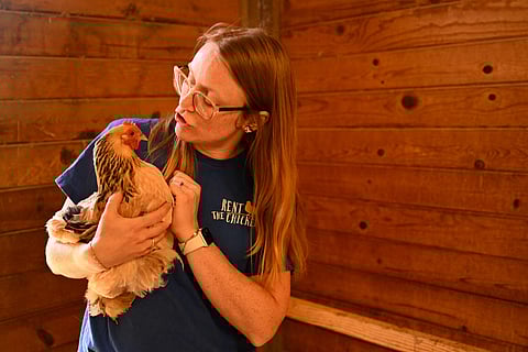 Victoria Lee holds one of her hens at her Agua Dulce farm while explaining the "Rent The Chicken" service, a growing backyard farming solution now available in over 40 North American cities.