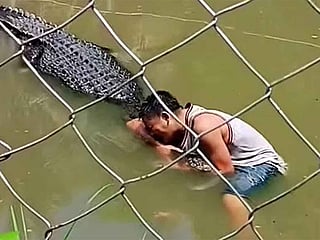 Selfie gone wrong: Tourist mistakes real crocodile for statue, mauled at Philippine mangrove park