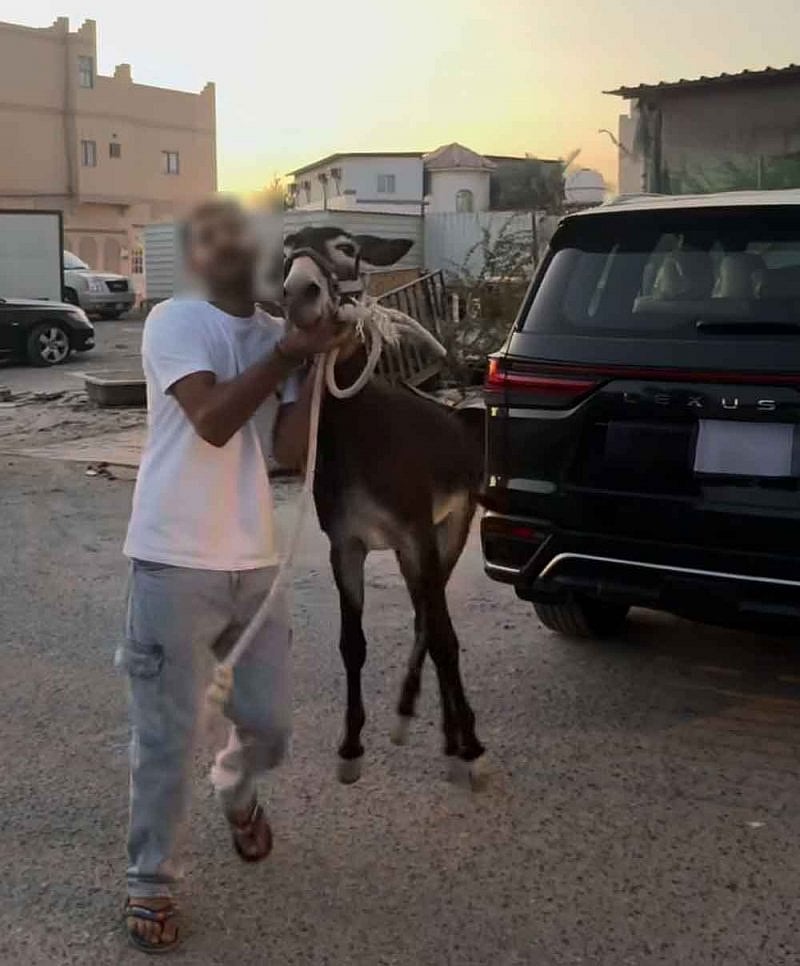 The Bahrain Society for the Prevention of Cruelty to Animals (BSPCA) filed a formal complaint with authorities this week after reviewing footage on the influencer’s Instagram account showing Tahin struggling with a visibly broken leg.
