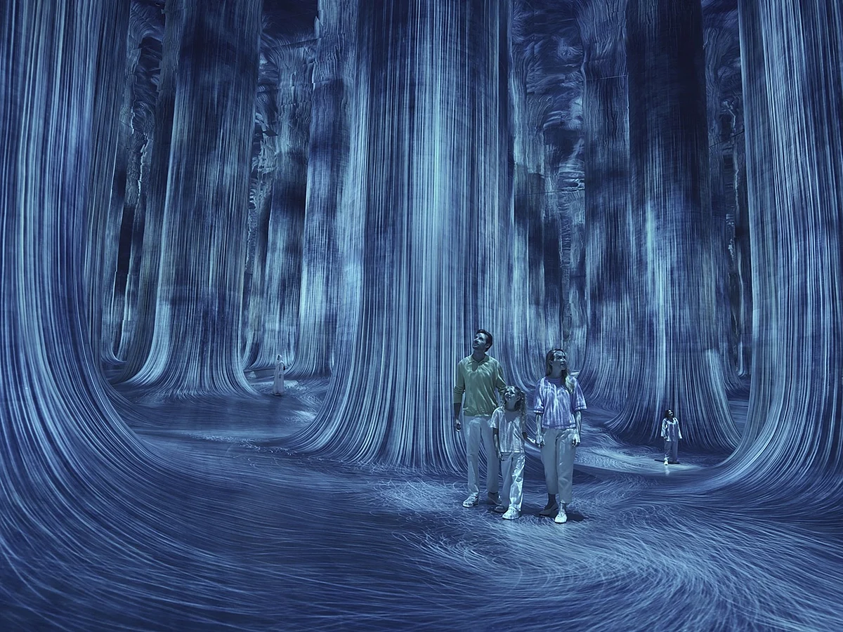 New packages are inclusive of access to teamLab Phenomena Abu Dhabi, the island’s latest immersive art destination.