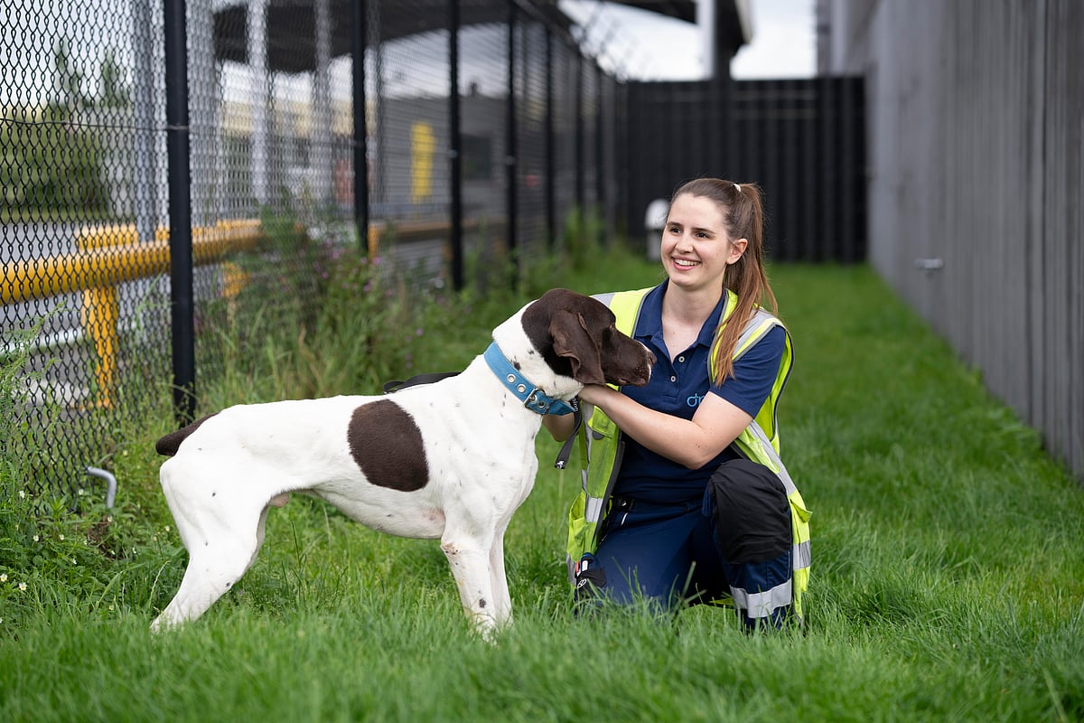 The fully temperature-controlled centre has been “meticulously designed with animal wellbeing at its core.”