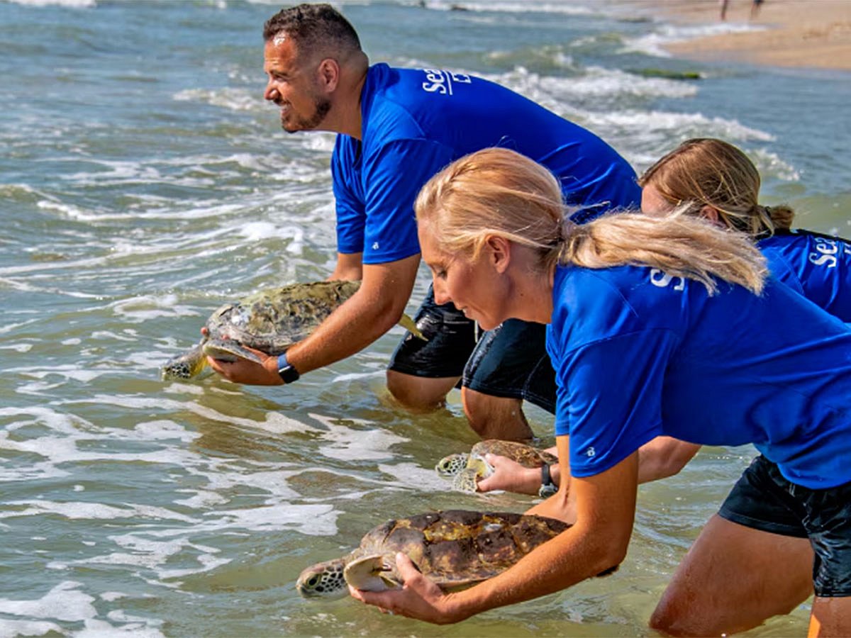 Yas SeaWorld Research & Rescue Center (YSWRRC)