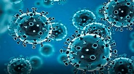 The patient died on Saturday, said the Health Department, adding that 108 persons were tested for Covid in the last 24 hours.