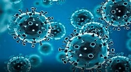 The patient died on Saturday, said the Health Department, adding that 108 persons were tested for Covid in the last 24 hours.