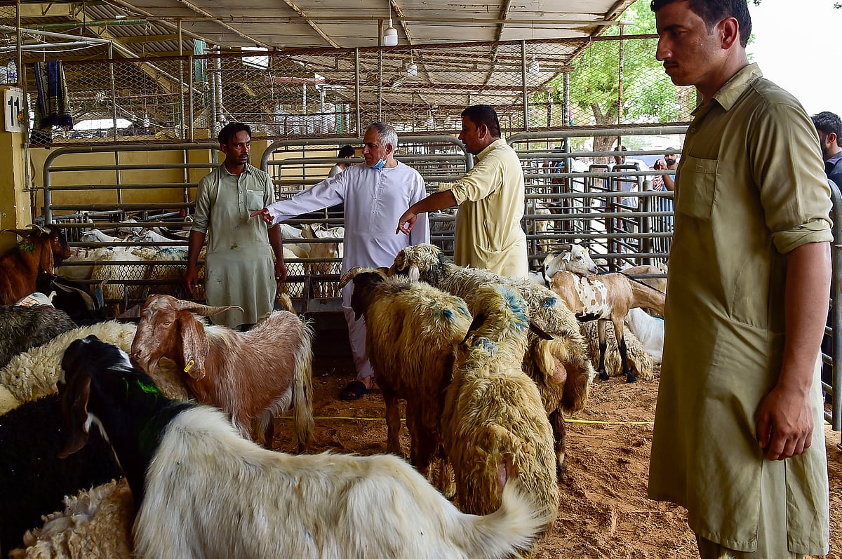 Eid animal slaughtering
