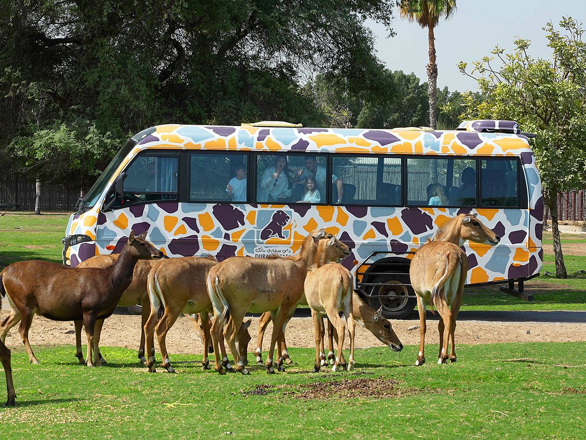 Dubai Safari Park 