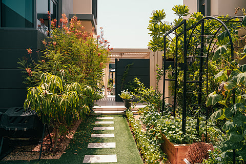 Here’s how you can nurture a few potted herbs on your high-rise balcony or tending to a full-fledged villa garden, through scorching heat.
