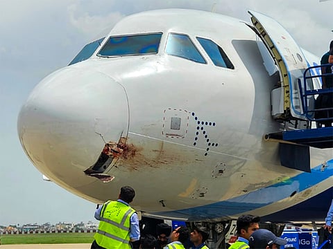 IndiGo aircraft sustains nose damage after bird strike while landing at Ranchi’s Birsa Munda airport on June 2, 2025.
