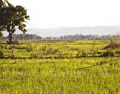 The villagers have been opposing the proposal to establish the ethanol plant. They urged authorities to cancel the permission given to the company.