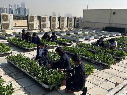 The proprietary model, called ASPIRE, is a ‘school-in-a-box’ framework developed by educators across GEMS’ global network. Students of GEMS Our Own Indian School in Dubai engaged in terrace farming (Picture used for illustrative purposes). 