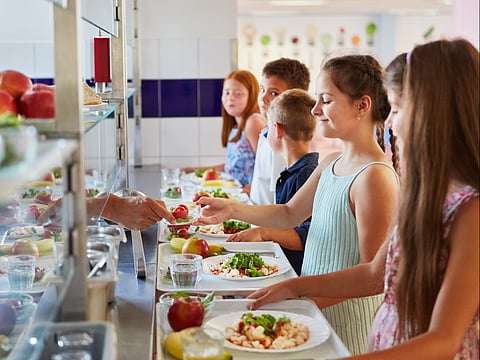 "My School Food," a comprehensive platform has been launched to revolutionise food safety and nutrition standards in educational institutions across the emirate. Image used for illustrative purposes.