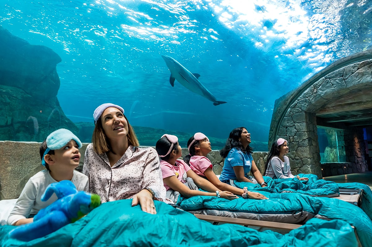 The theme park will remain open solely for event attendees, who will be joined by SeaWorld Abu Dhabi’s zoological education team.