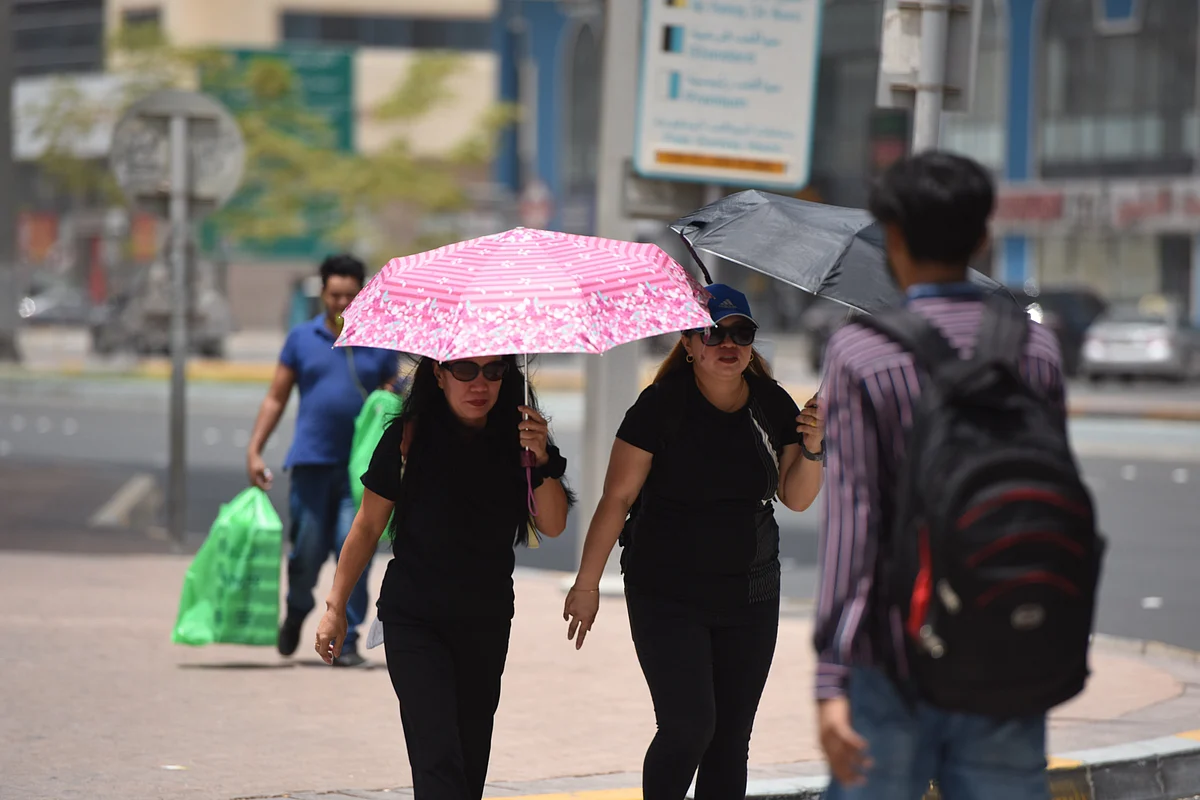 Stock weather summer