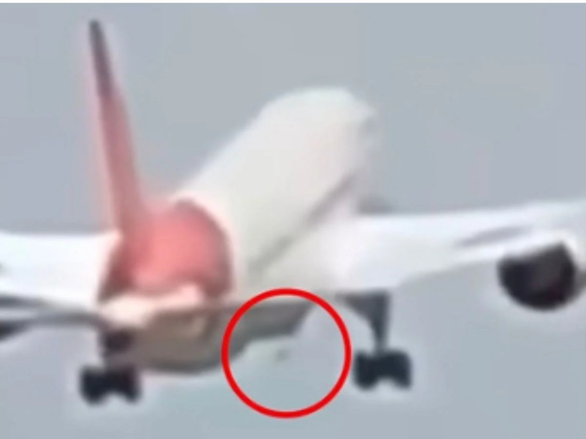The ram air turbine (RAT, encircled) looks like a protrusion on the belly of the aircraft. The gray dot underneath the Boeing 787-8 almost looks like an artifact on the screen. This is visual confirmation that the RAT deployed. Experts chime in on what it means for the investigation.