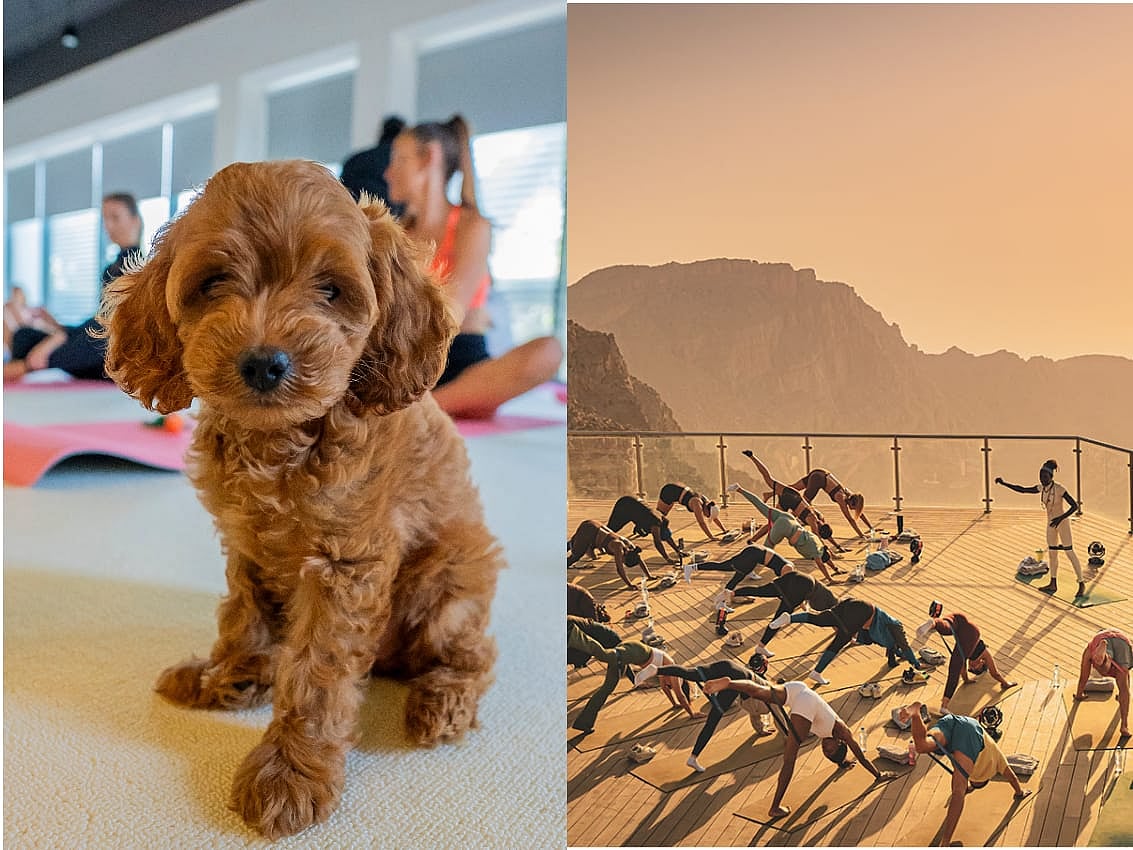Limited Spots: UAE's Most Unique Yoga Classes Include Puppies, Mountain Views, and Balloon Rides