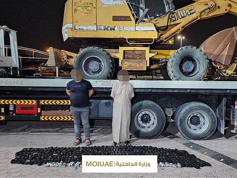 Anti-narcotics teams uncovering an international network involved in the trafficking and distribution of narcotic substances. 